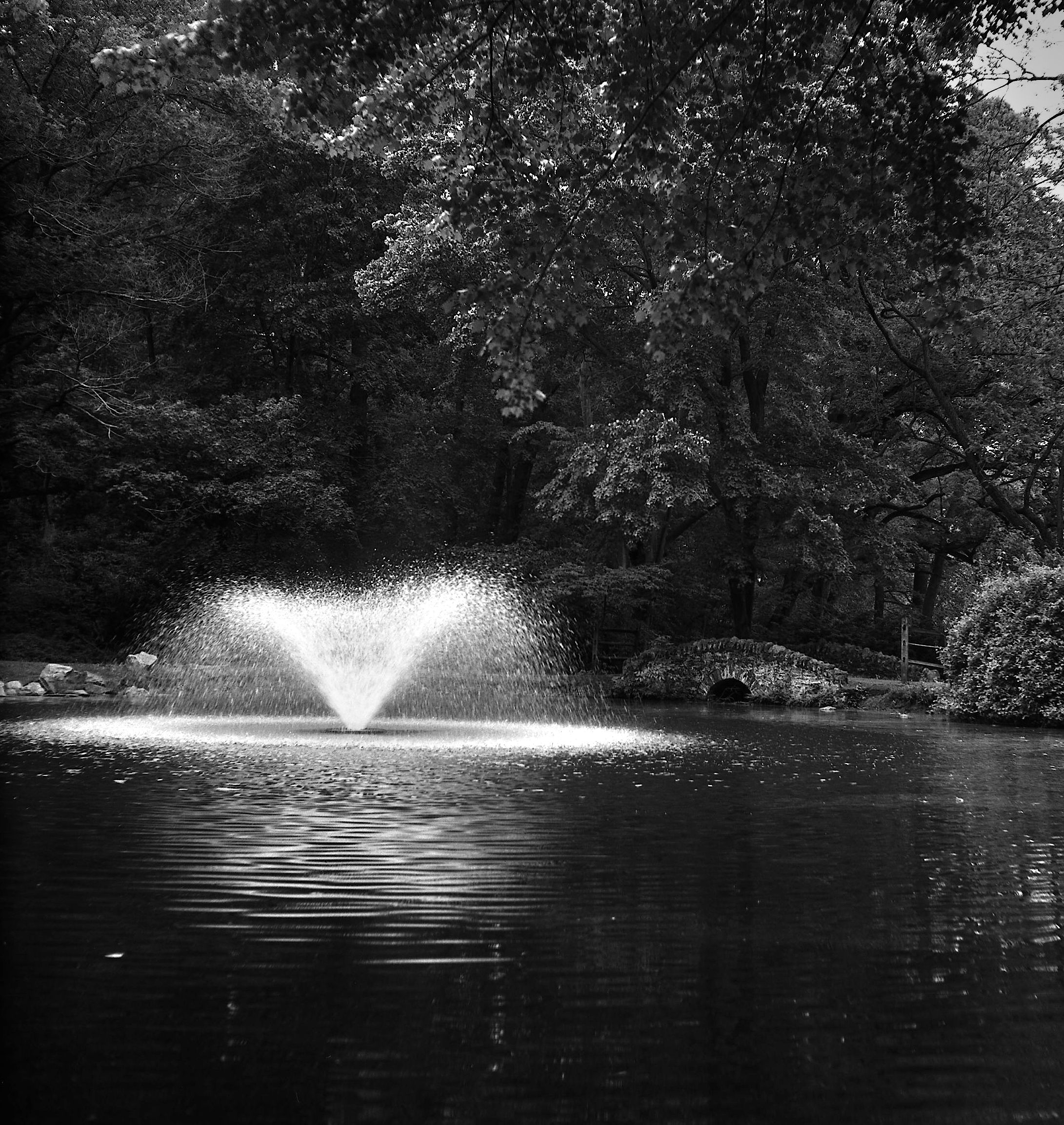 Fountain and Footbridge