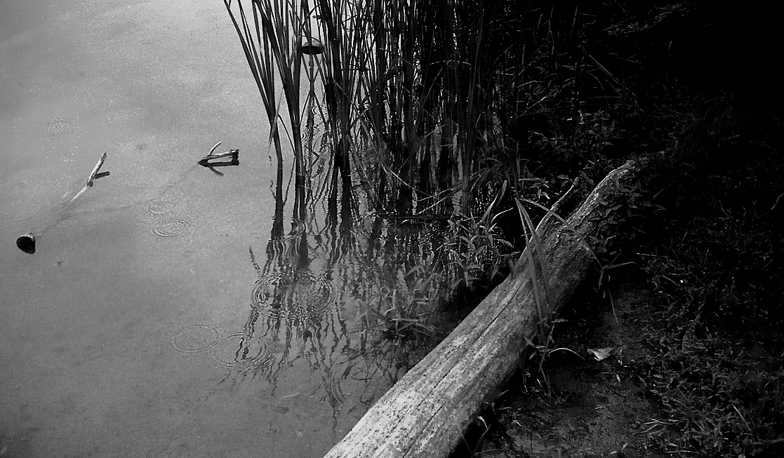 Raindrops at the edge