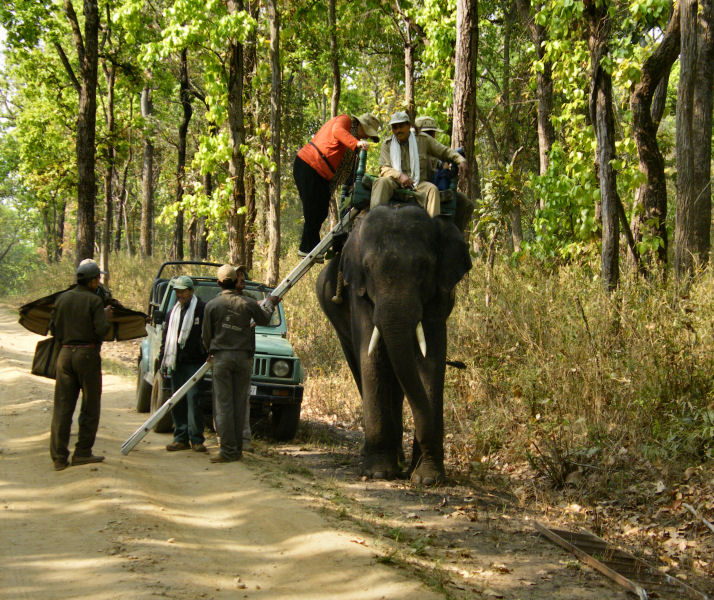 Mounting and Dismounting via ladder_Kanha