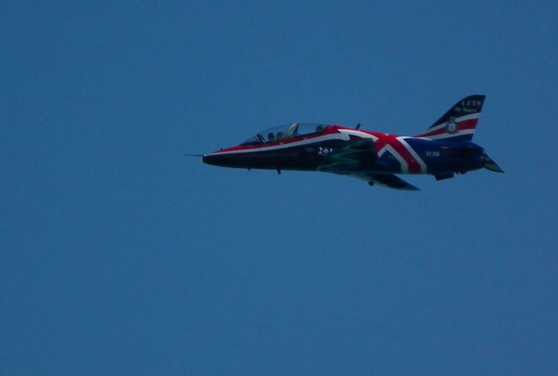 Hawk trainer profile