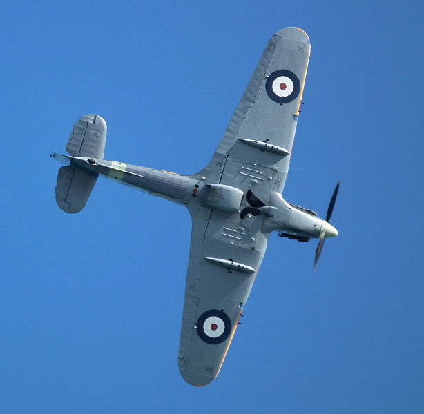 Hurricane Bomber variant underwing