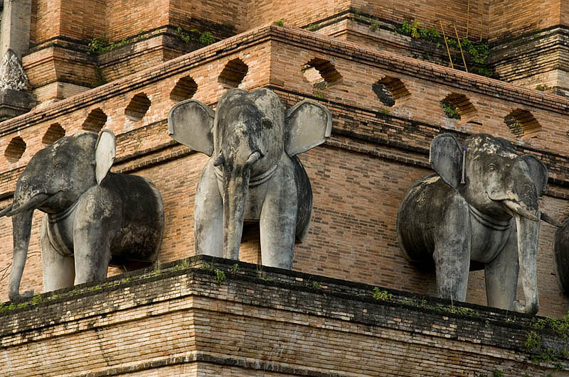 CHIANG MAI Wat Chedi Luang detail