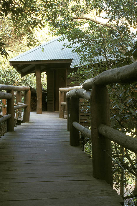 Secrets on the Lake at Lake Baroon