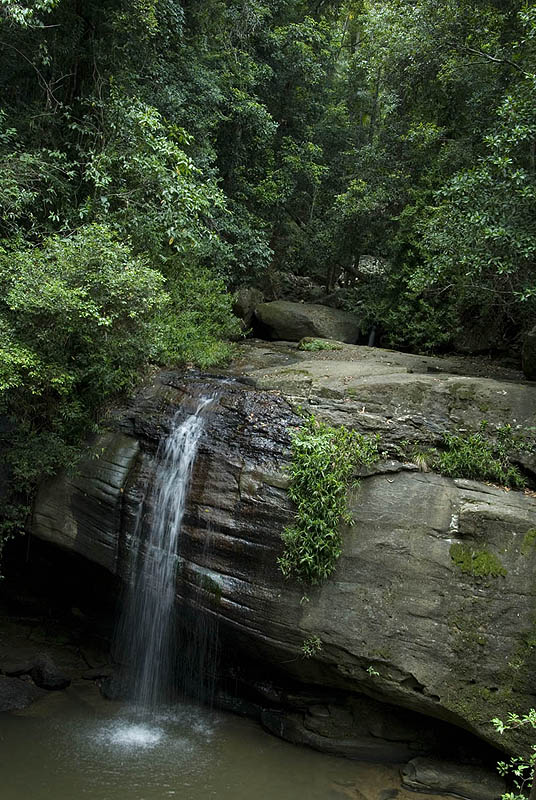 Sunshine Coast hinterland