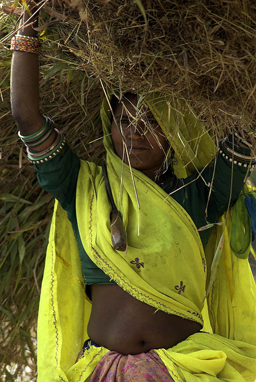 Rural woman, Rajasthan