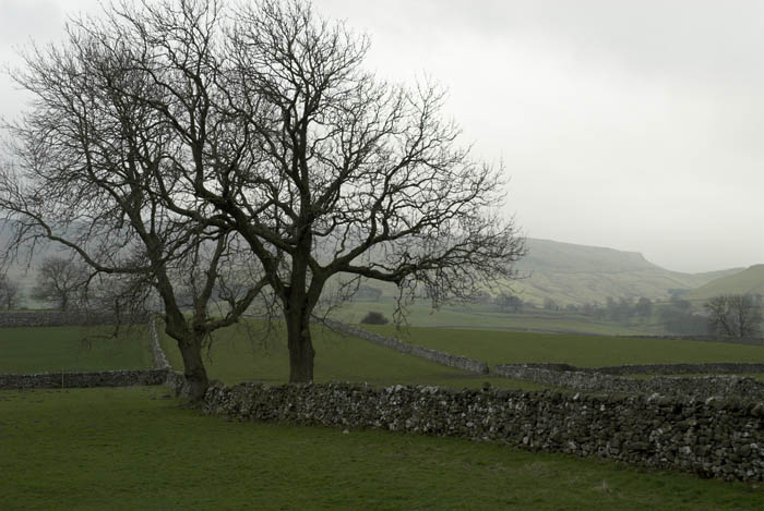 Yorkshire Dales