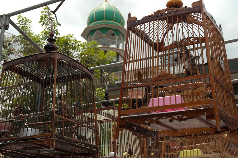 Caged birds for sale  near a canalside mosque