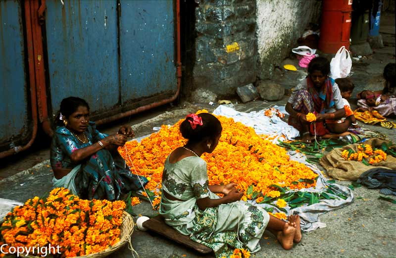 Plaiting marigolds on the street