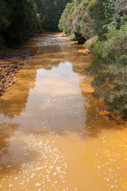 The Queen River, killed by mine waste