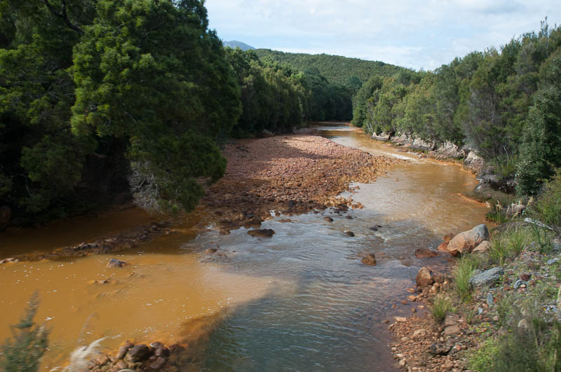 The Queen River, killed by mine waste