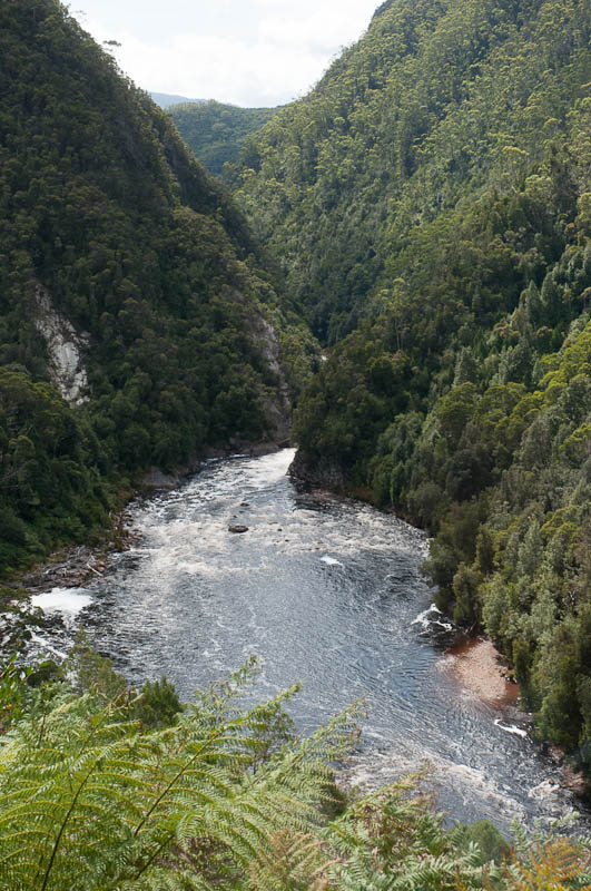 Following the King River 