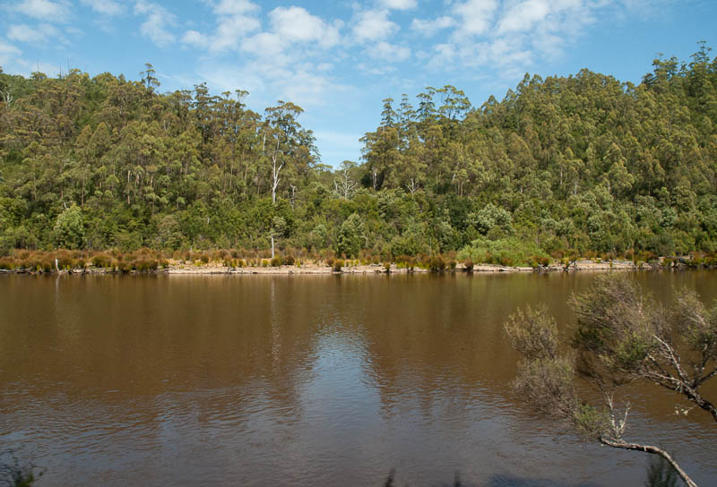 The King River, near its mouth on Macquarie Harbour
