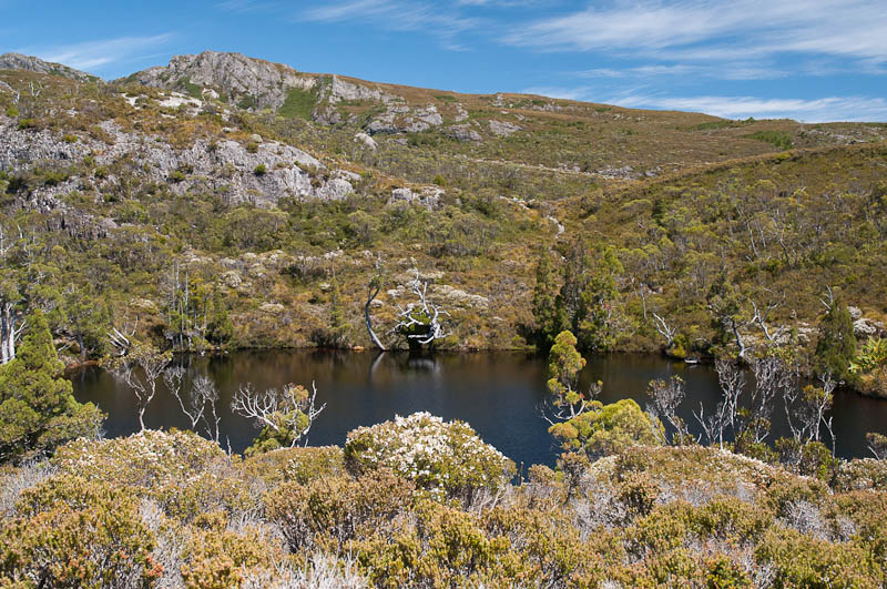 Wombat Pool