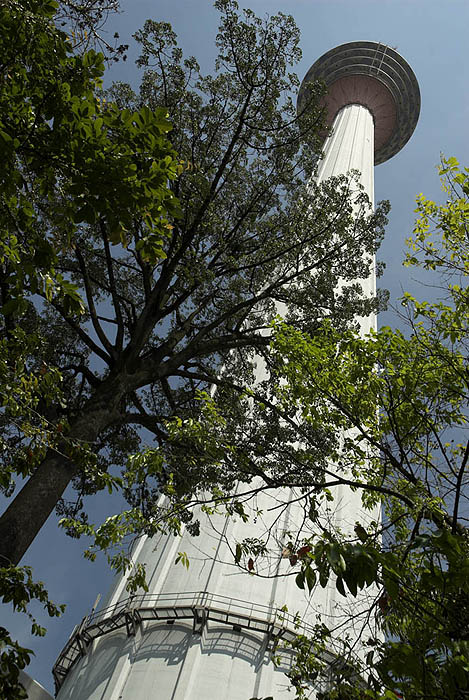 Menara KL (KL Tower)