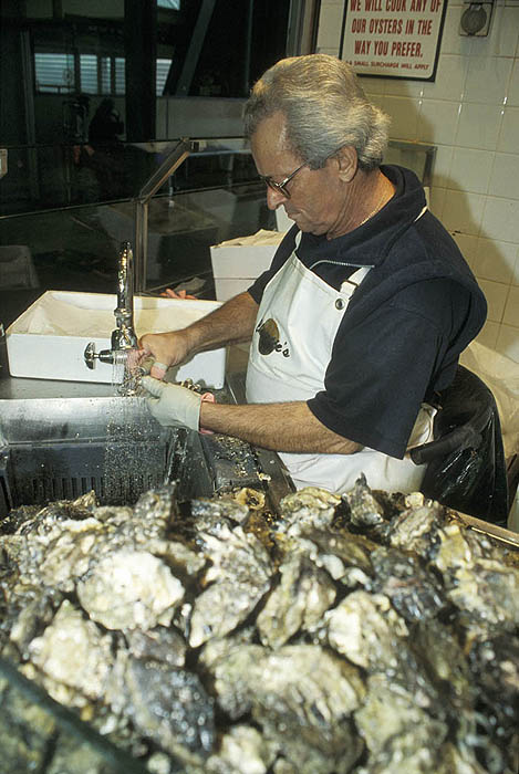 Shucking oysters at the Sydney Fish Market