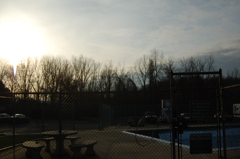 Flare Test - Sun in frame, hood on