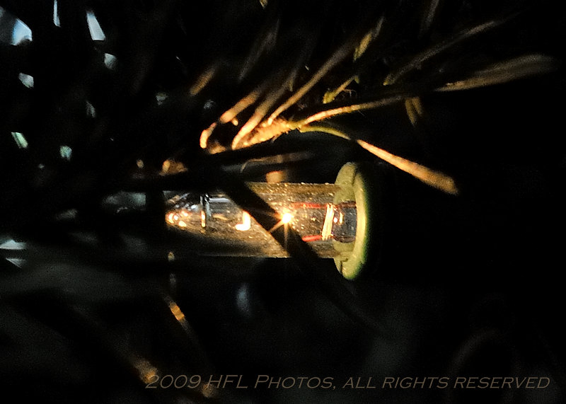 Experimental 20091221_17 Tree Lights Cafe.JPG