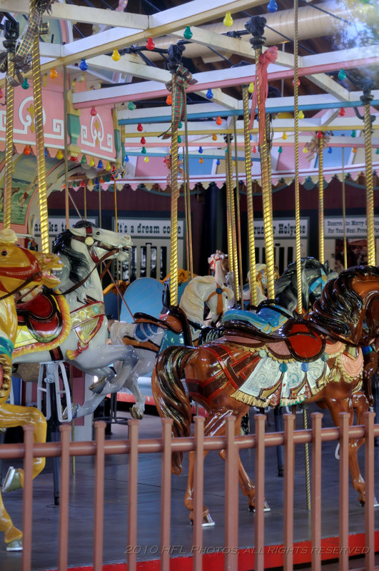 20100429_43 Horses Await.JPG
