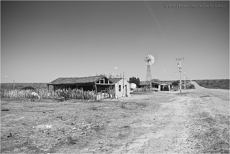 Tanquinho Casas