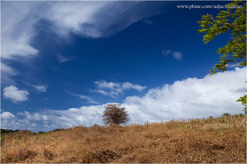 Nature of Colors, Parque da Praia do Sancho