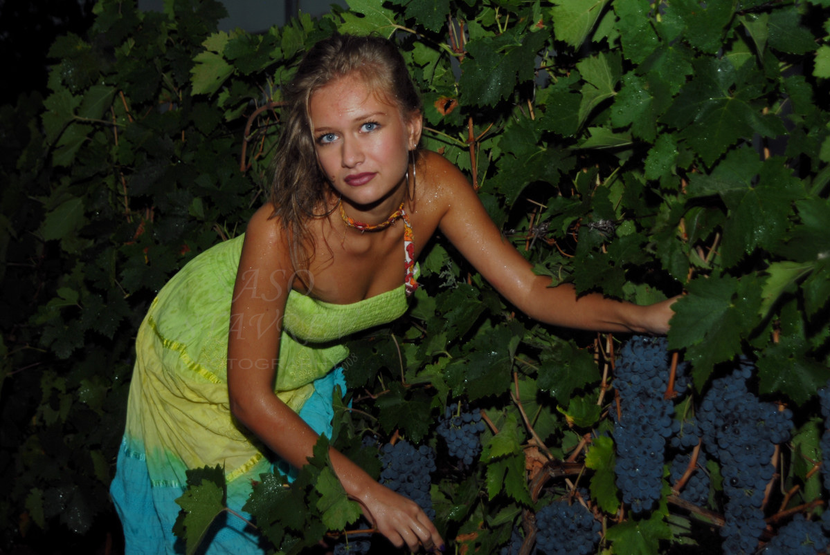 THROUGH THE GRAPES 003.jpg