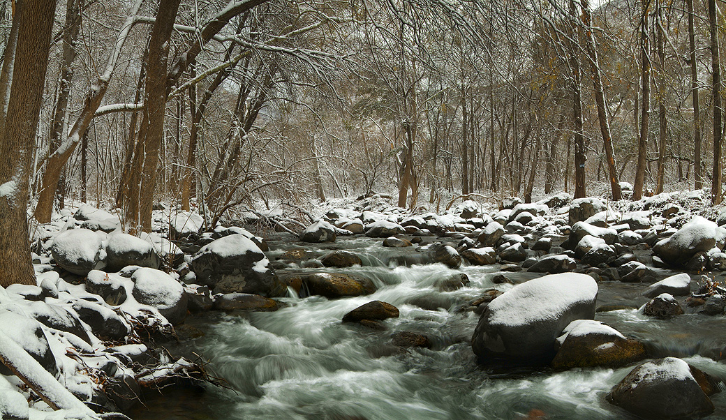 Snowy Oak Creek - AZ