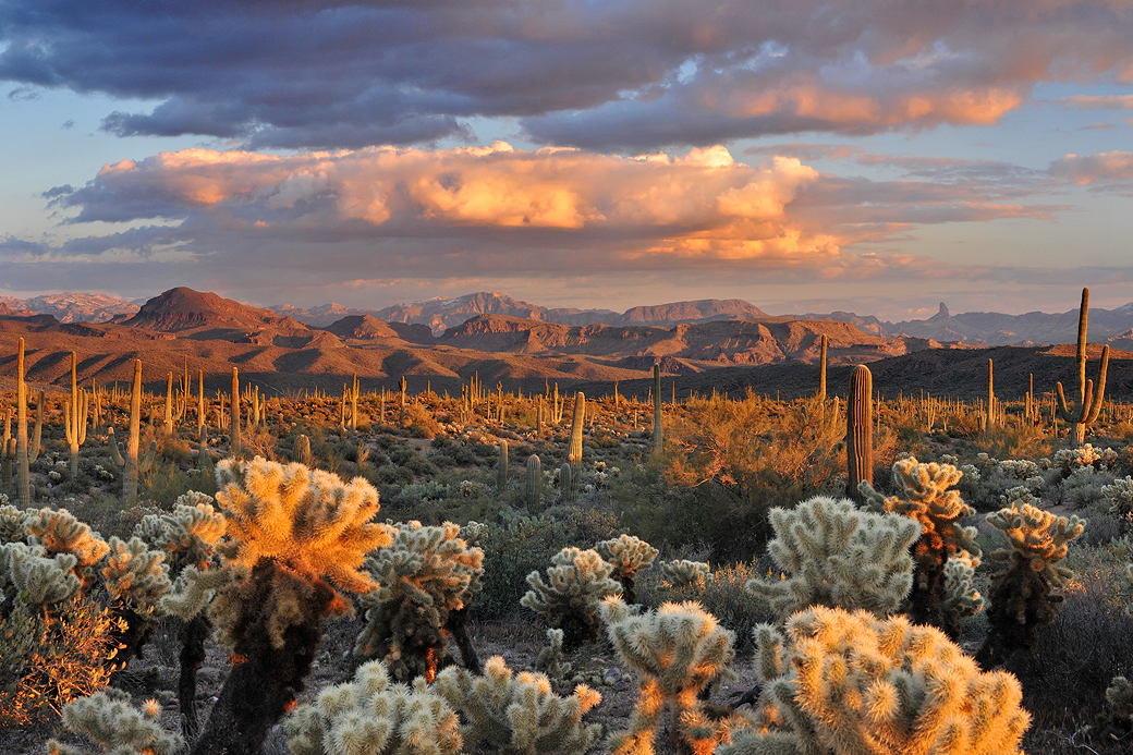 AZ - Four Peaks Wilderness Sunset 3