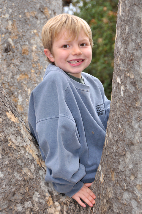 Tree Monkey Monster 2
