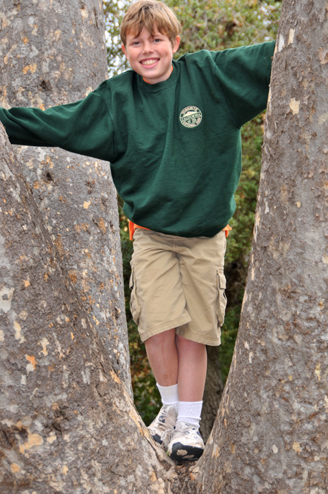 Tree Monkey Monster