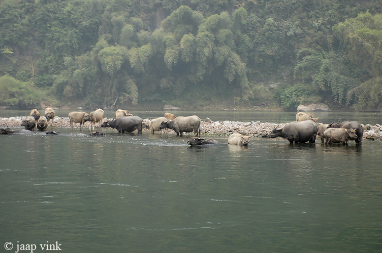 Li River, Xingping
