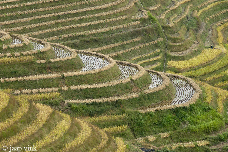 Longji