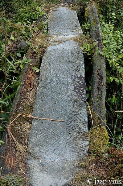 Longji