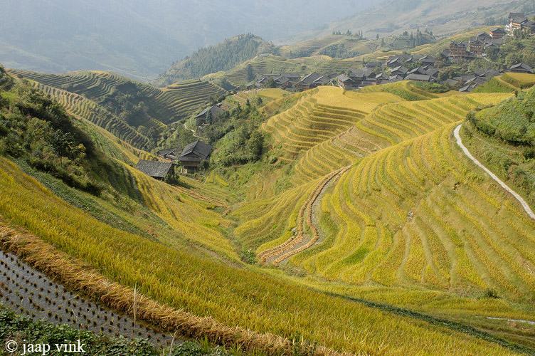 Longji