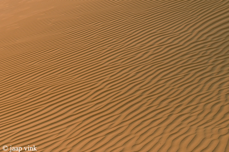 Wahiba Sands at day break