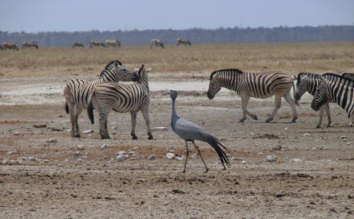 NAMIBIA - Oct 2007