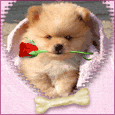 1021-008-34-1036.gif