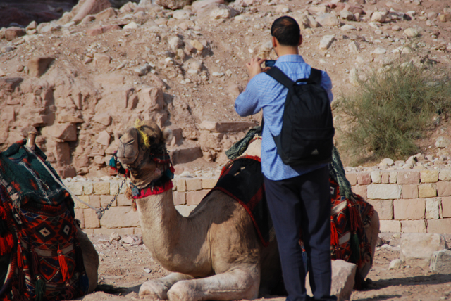 George liked camels even though they bite.
