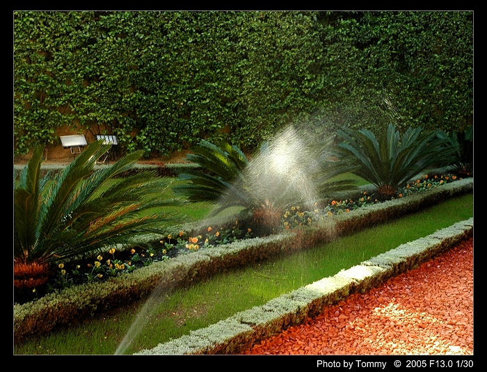 Haifa-Bahai Gardens 1.JPG