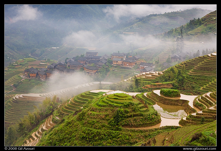 Jinkeng Rice Terraces