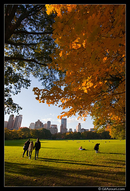 Central Park