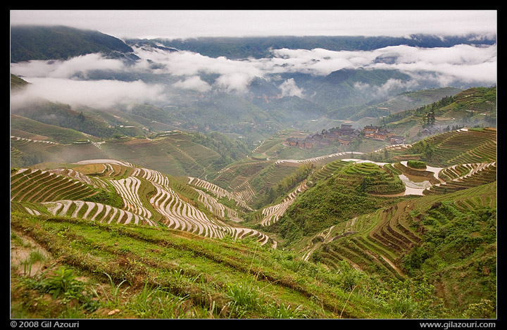 Jinkeng Rice Terraces