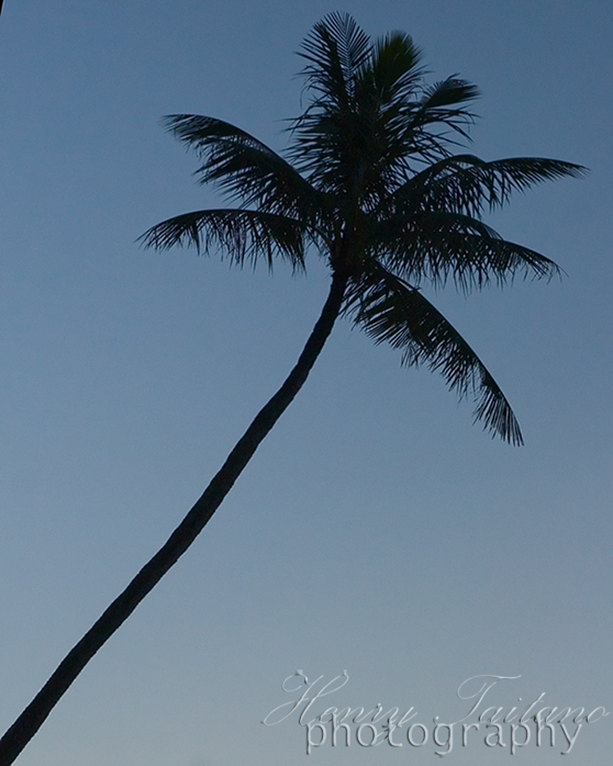 IMG_1367 copy.jpg
