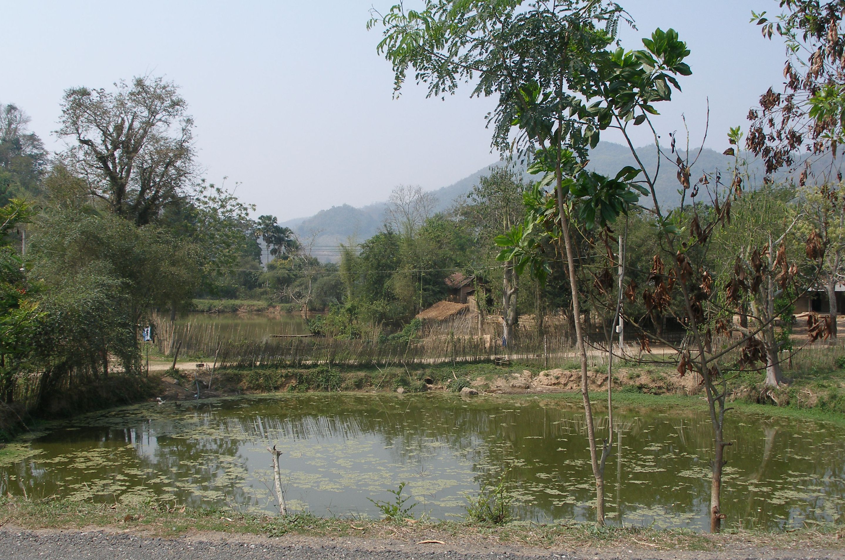 Rural scenery