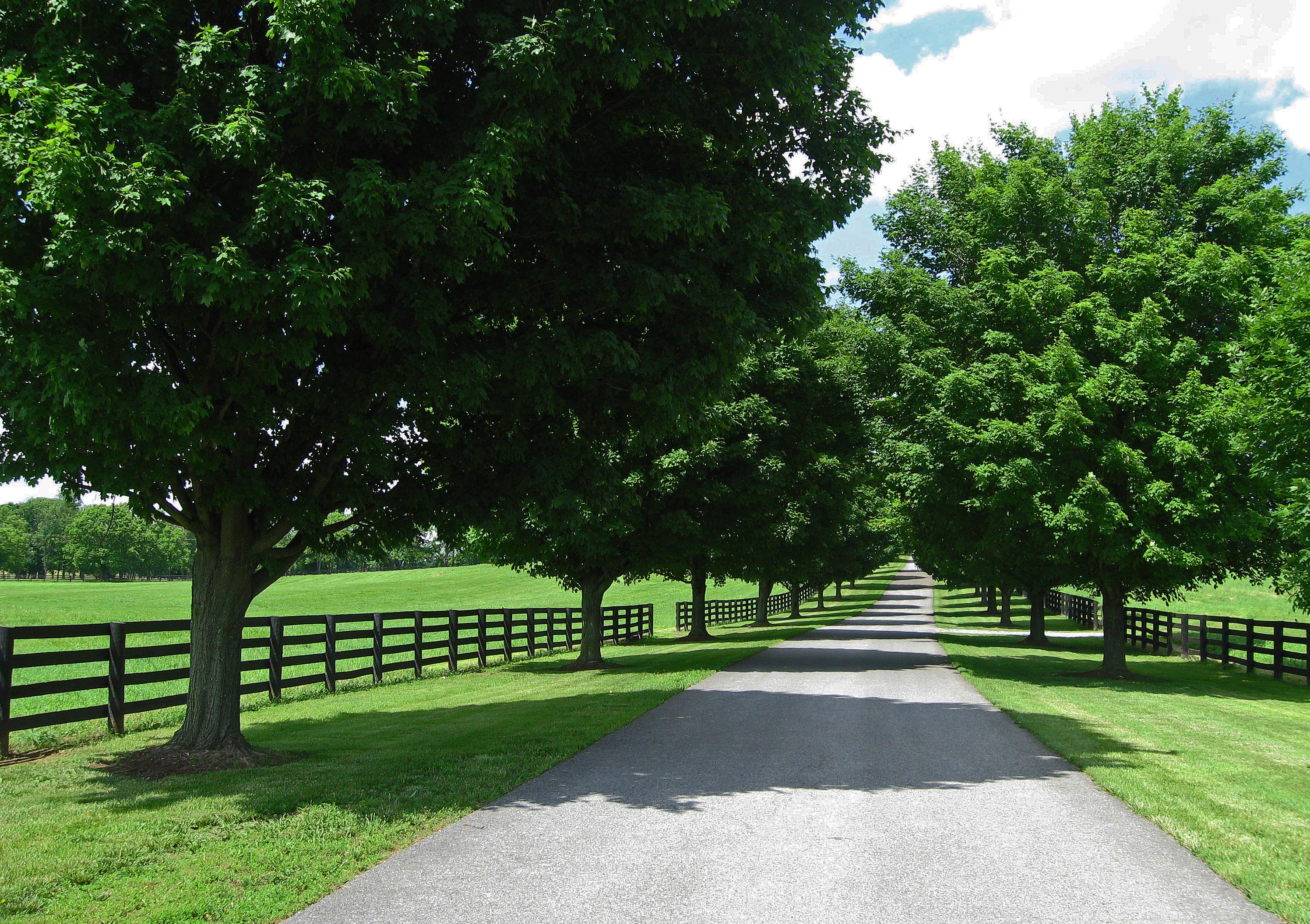 The Road to Long Branch