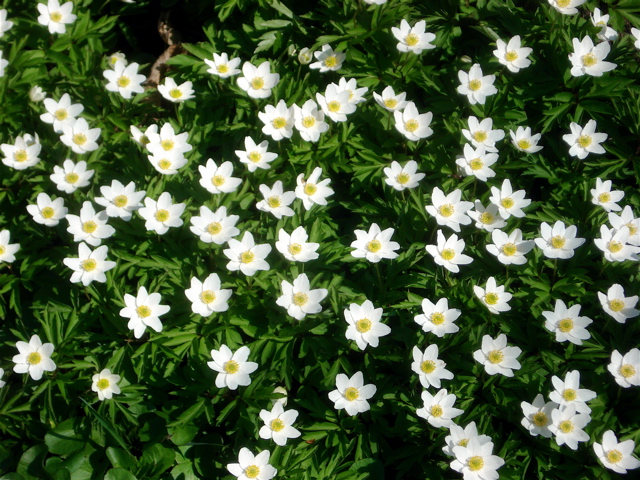 20080426