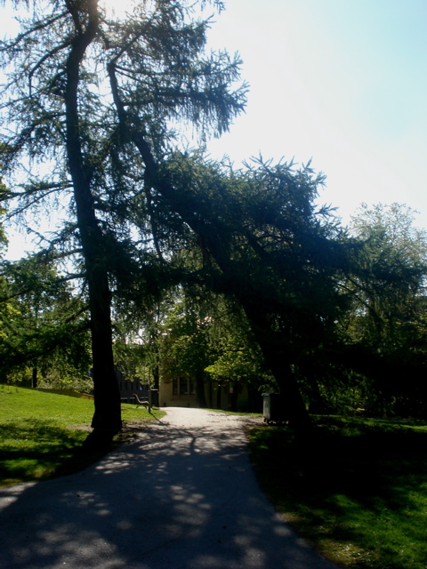 20080519