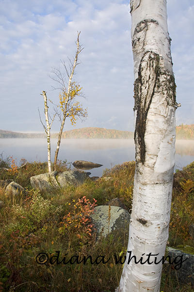 Lake Colby Adirondacks