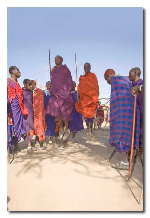 Masai saltando  -  Maasai jumping