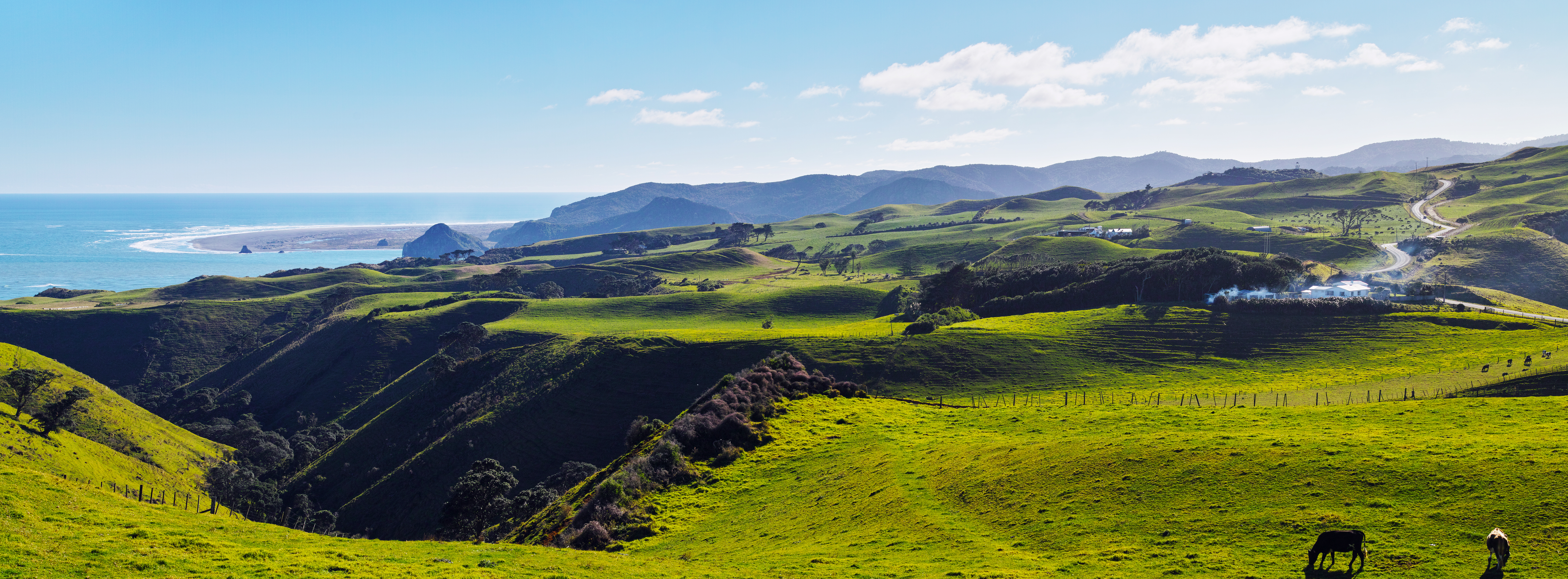 Manukau-Head-stitch2.jpg