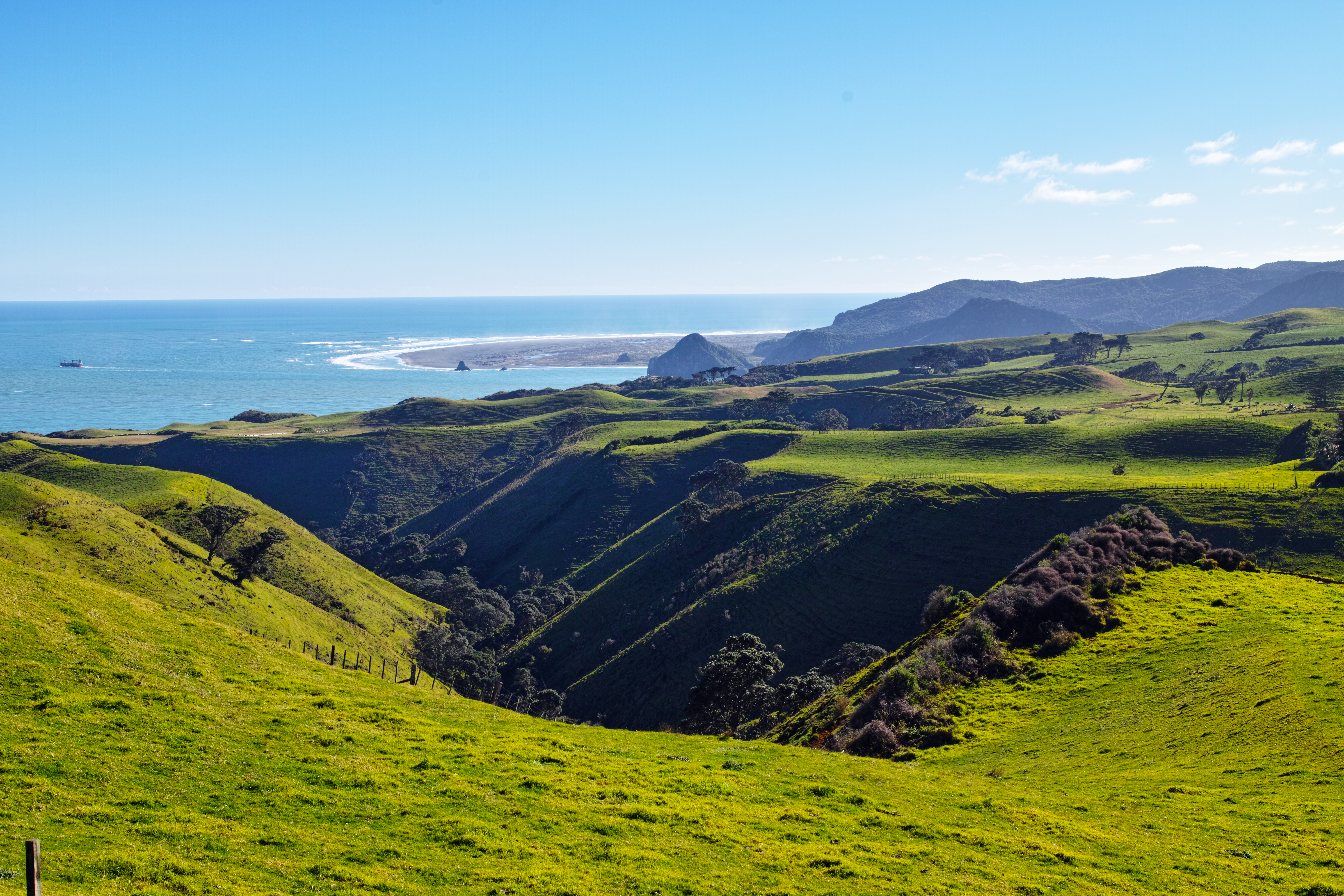 Manukau-Head-065.jpg
